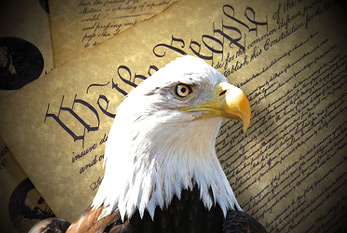 Un águila calva (símbolo de los Estados Unidos) antes constitución de Estados Unidos.