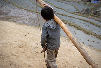 Un niño obligados a trabajar.