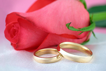 Dos anillos de bodas de oro junto a una rosa.