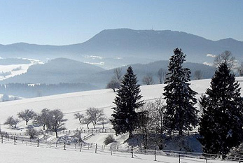 Un paisaje cubierto de nieve en el invierno.