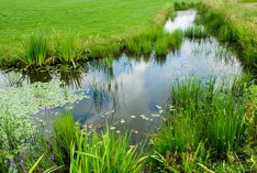 D&iacute;a Mundial de los Humedales 2028