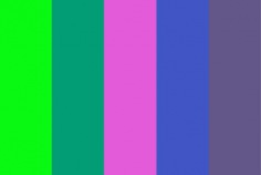 D&iacute;a de la Libertad del la Informaci&oacute;n 2026