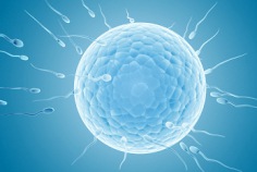 D&iacute;a de la Diosa de la Fertilidad 2026