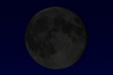 Luna nueva marzo 2024