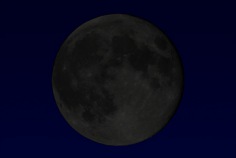 Luna nueva abril 2025